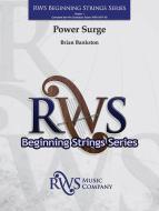 Power Surge Standard