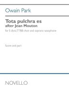 Tota pulchra es 