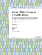 Concerto B minor TWV 53:h1 - Solo parts 