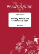 Nobody Knows the Trouble I've Seen 
