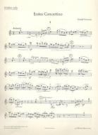 First Concertino GeWV 158 