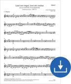 Let us watch him, let us guard him BWV 213 Download