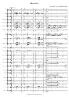 Havirska Standard