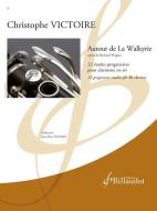 Autour de la Walkyrie 