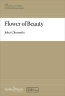 Flower Of Beauty 