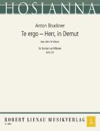 Te ergo - Herr, in Demut (in d-Moll) 
