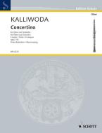 Concertino op. 110 