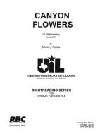 Canyon Flowers 