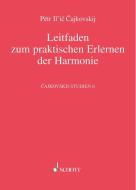 Tchaikovsky Studien 6 