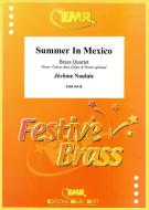 Summer In Mexico Download