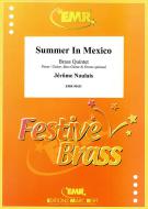 Summer In Mexico Download