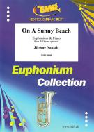 On A Sunny Beach Download