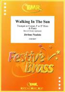 Walking In The Sun Download