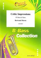 Celtic Impressions Download