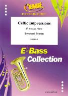 Celtic Impressions Download