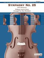 Symphony No. 25 (First Movement) 