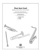 Pleni Sunt Coeli 