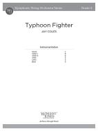 Typhoon Fighter 