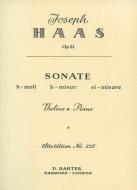 Sonata In B Minor Op. 21 
