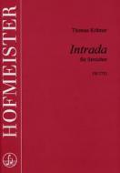 Intrada für Streicher 