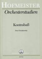 Orchesterstudien 