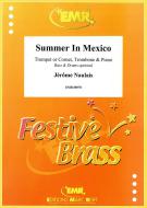 Summer In Mexico Download