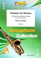 Summer In Mexico Download