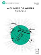 A Glimpse of Winter 