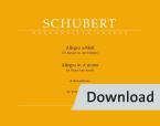 Allegro in A minor op. post. 144 D 947 'storms of Life" Download