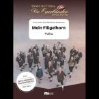 Mein Flügelhorn 