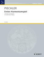 Erstes Harmoniumspiel Standard
