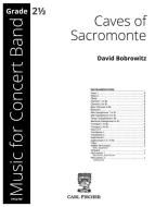 Caves of Sacromonte 