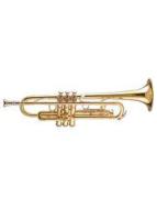 Symphony No. 40 in G Minor, 1st Movement 