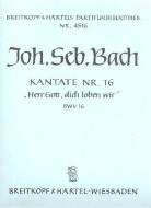 Herr Gott, dich loben wir 