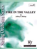 Fire in the Valley Standard