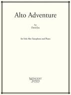 Alto Adventure 