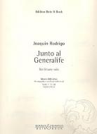 Junto al generalife 