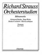 Orchestra Studies Vol. 2 
