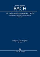I stand with my open grave before me BWV 156 