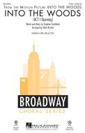 Into The Woods Download