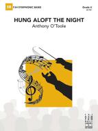 hung aloft the night Standard