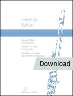 Fantasia for flute solo Download