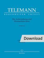 Die Auferstehung und Himmelfahrt Jesu Download