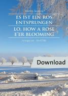 A rose has sprung Download