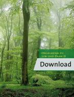 Organ Music in Praise and Thanksgiving 2 Download