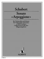 Sonata Arpeggione A Minor D 821 