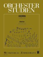 Orchestra Studies 