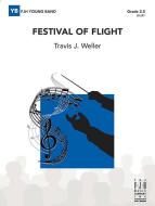 Festival of Flight 