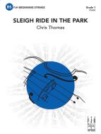 Sleigh Ride in the Park Download