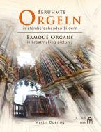 Famous organs in breathtaking pictures 